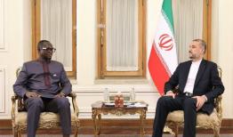 آمادگی ایران برای توسعه مناسبات با آفریقای مرکزی